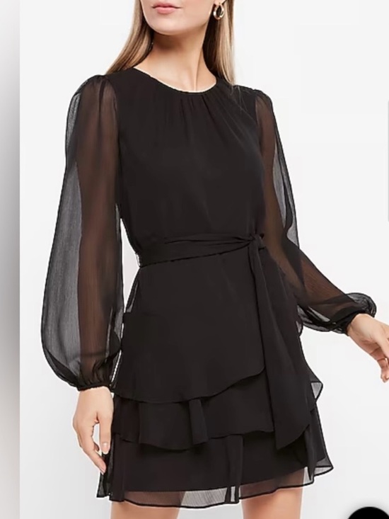 Express Dress | Long Sleeve Tie Waist Tiered Ruffle Mini Dress | Sheer | Small - Picture 2 of 8